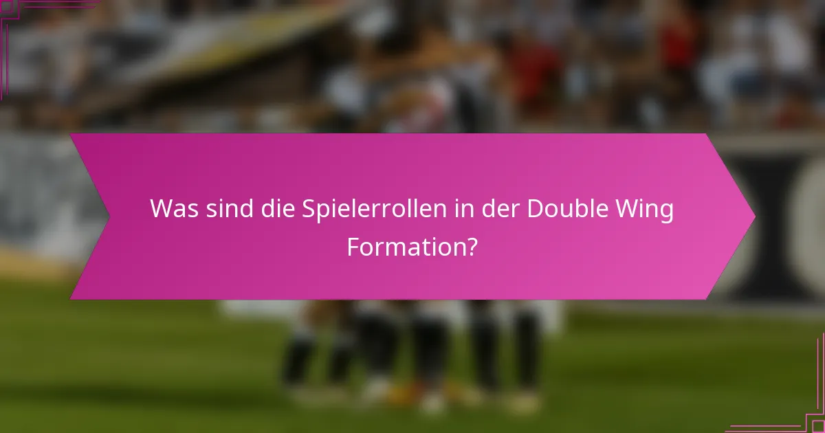 Was sind die Spielerrollen in der Double Wing Formation?