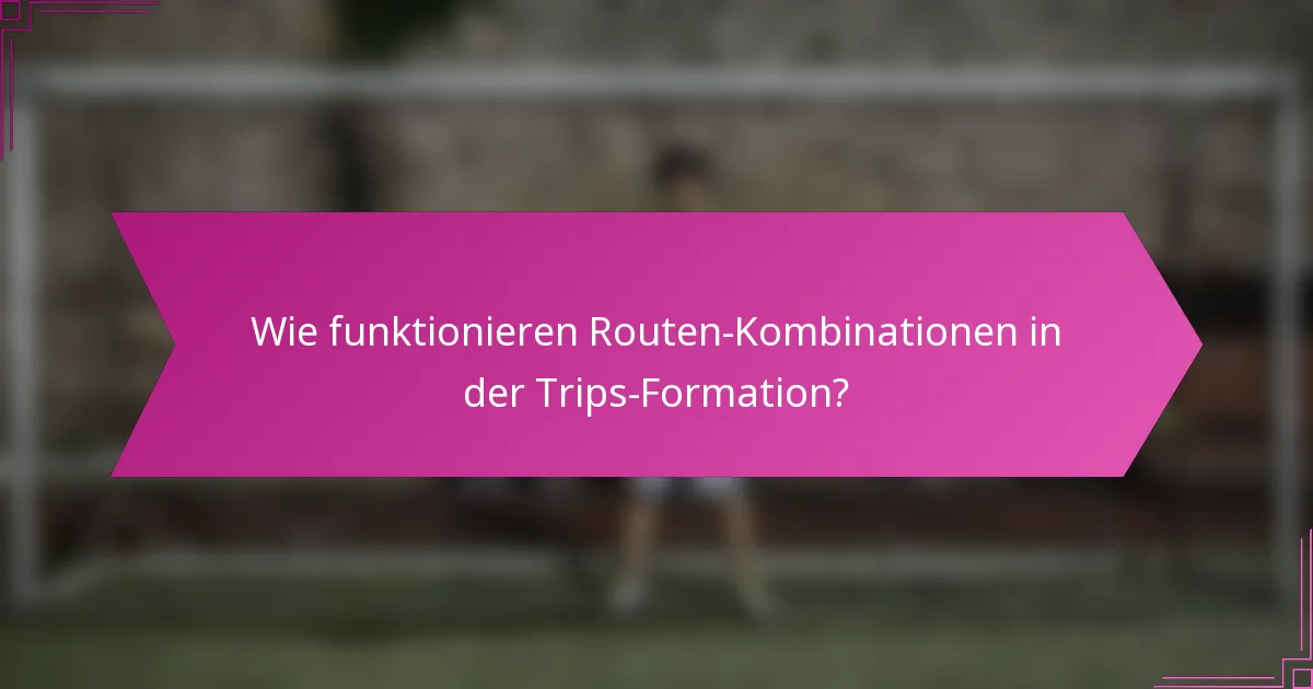 Wie funktionieren Routen-Kombinationen in der Trips-Formation?