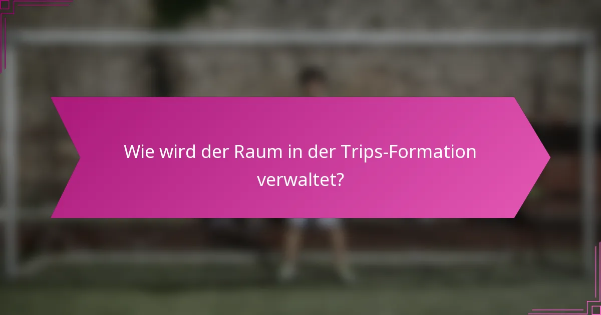 Wie wird der Raum in der Trips-Formation verwaltet?